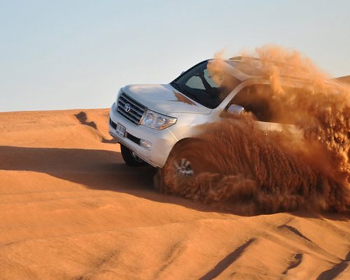 Sand Dune Bashing in Jaisalmer